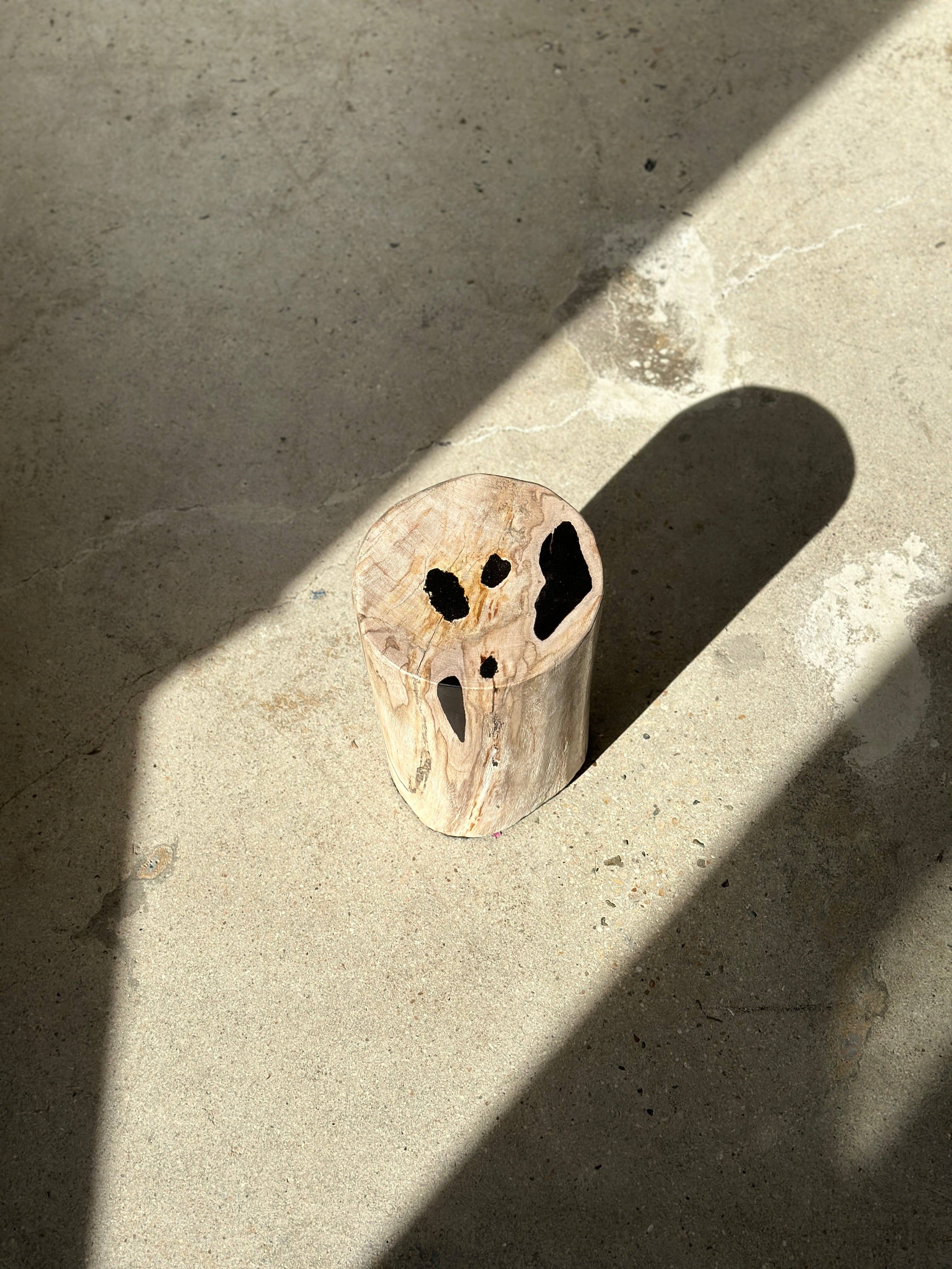 Office Objets - Wholesale Side Table - White petrified wood side table with black spots H:27.5 D:1872