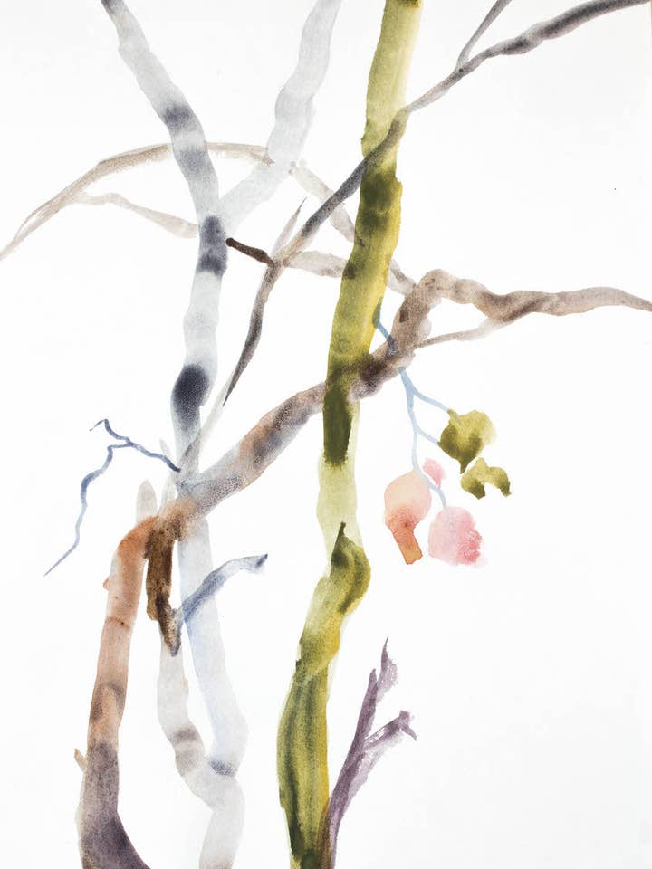 Les Bois n° 12 pour la vente par Elizabeth Becker