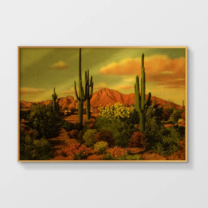 Phoenix, Arizona para venta al por mayor de NC Design group