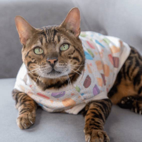 Sugary Couture : adorable t-shirt macaron pour votre chaton pour la vente par The Furry Fox