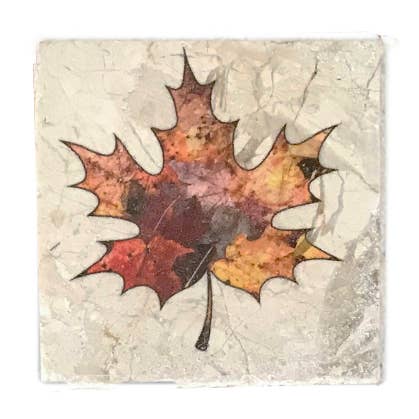 Coaster - Fall Leaf for wholesale by Denise Riesen Photography