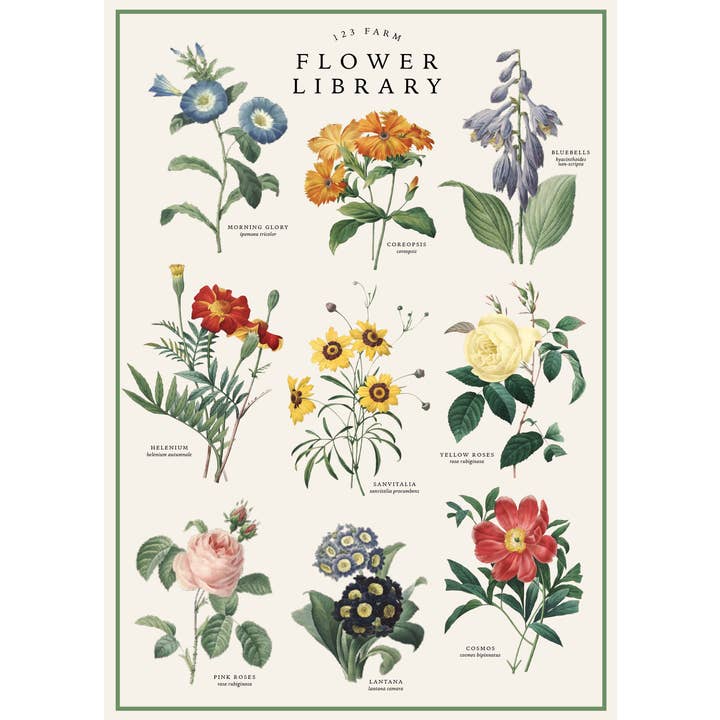 123 Farm - Wholesale Wrapping Paper Roll - Vintage Posters Wrapping Paper - Flower Library