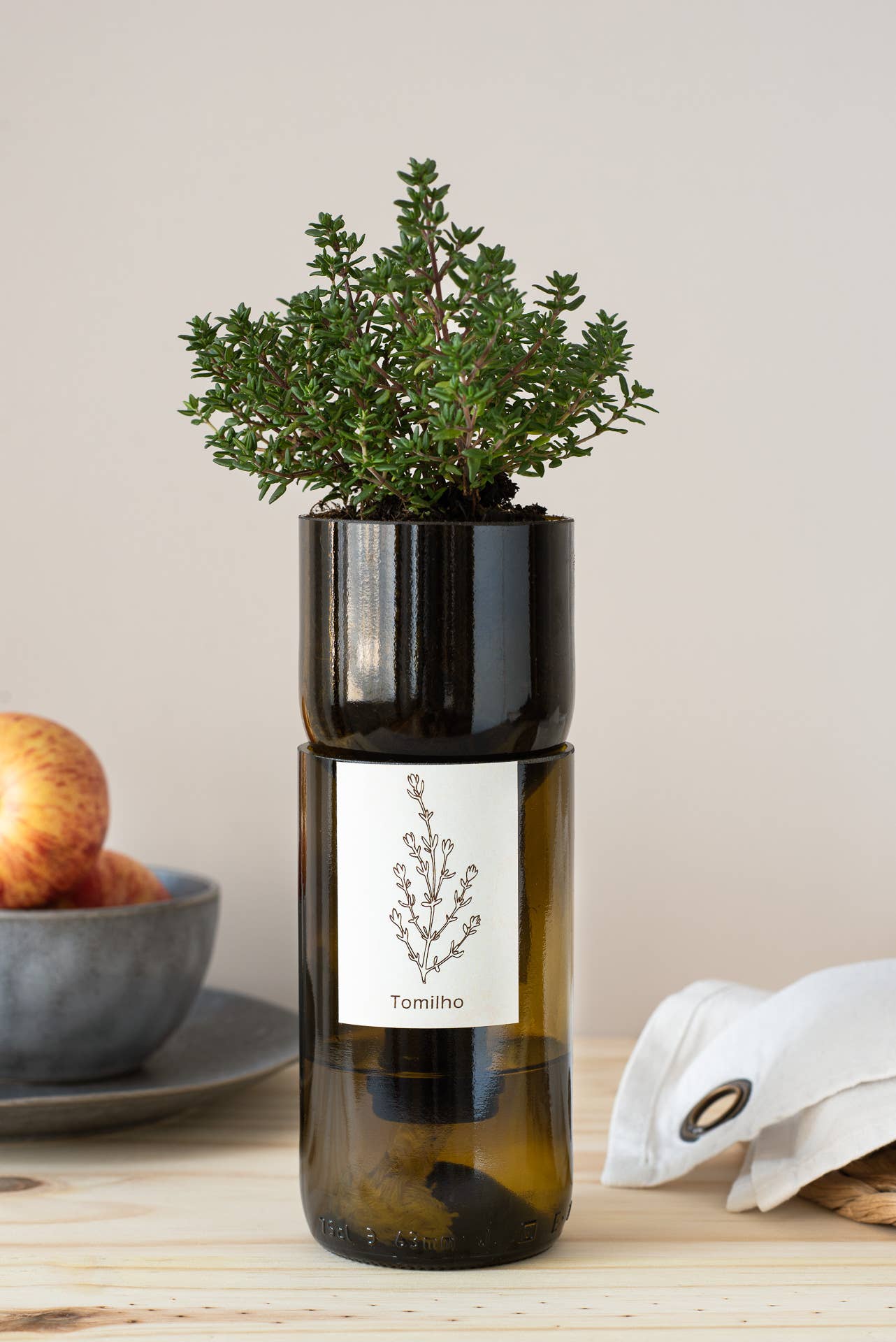 Life in a bag - Wholesale Plant Seeds - Grow Bottle Basil3