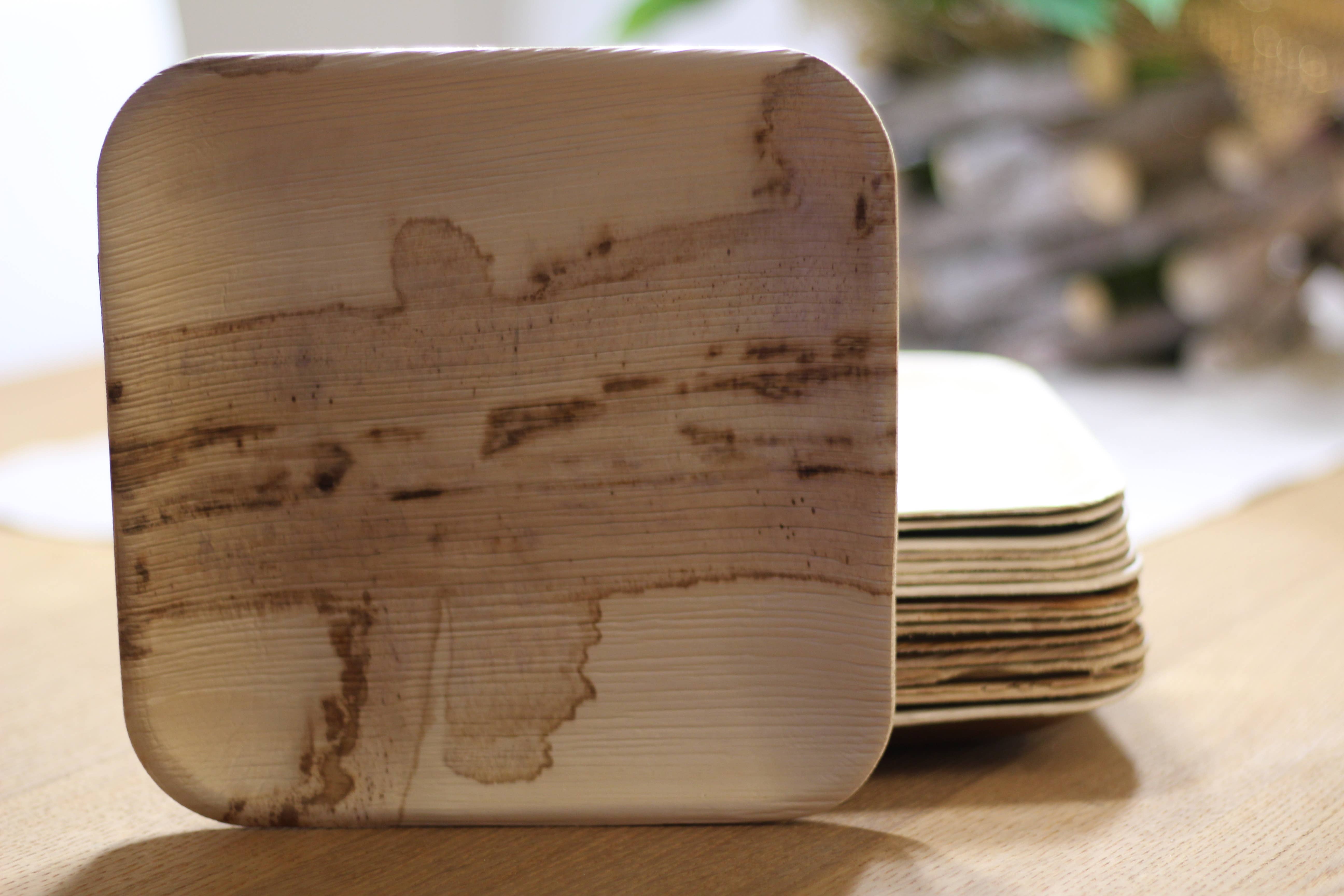 GNB S.r.l. (BioChic) - Wholesale Disposable Plate - Compostable disposable palm leaf plate 18x18cm3