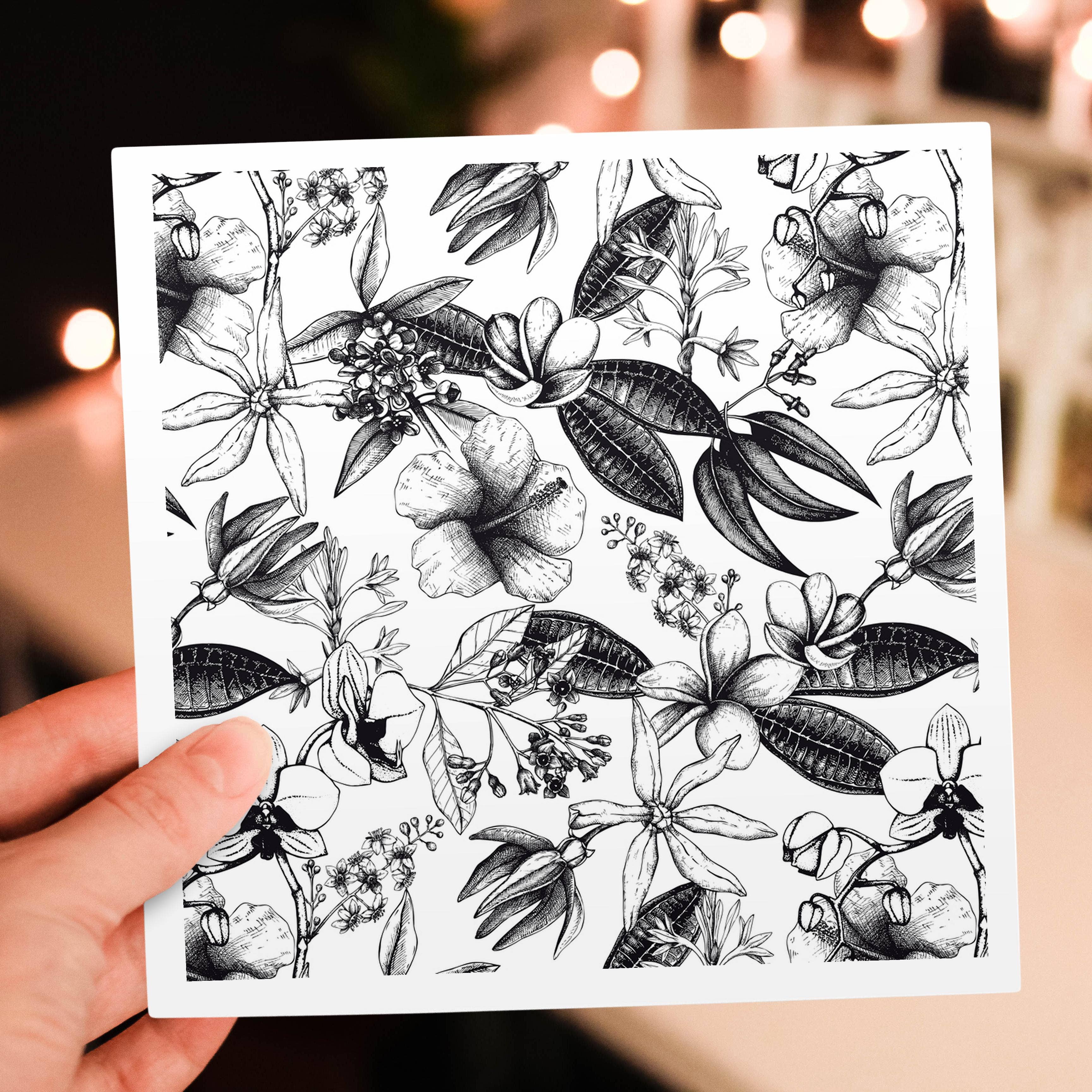 3dRose – Großhandel Grußkarten für den Alltag – 3dRose, Schwarz-Weiß Vintage Botanische Illustration, Grußkarte5