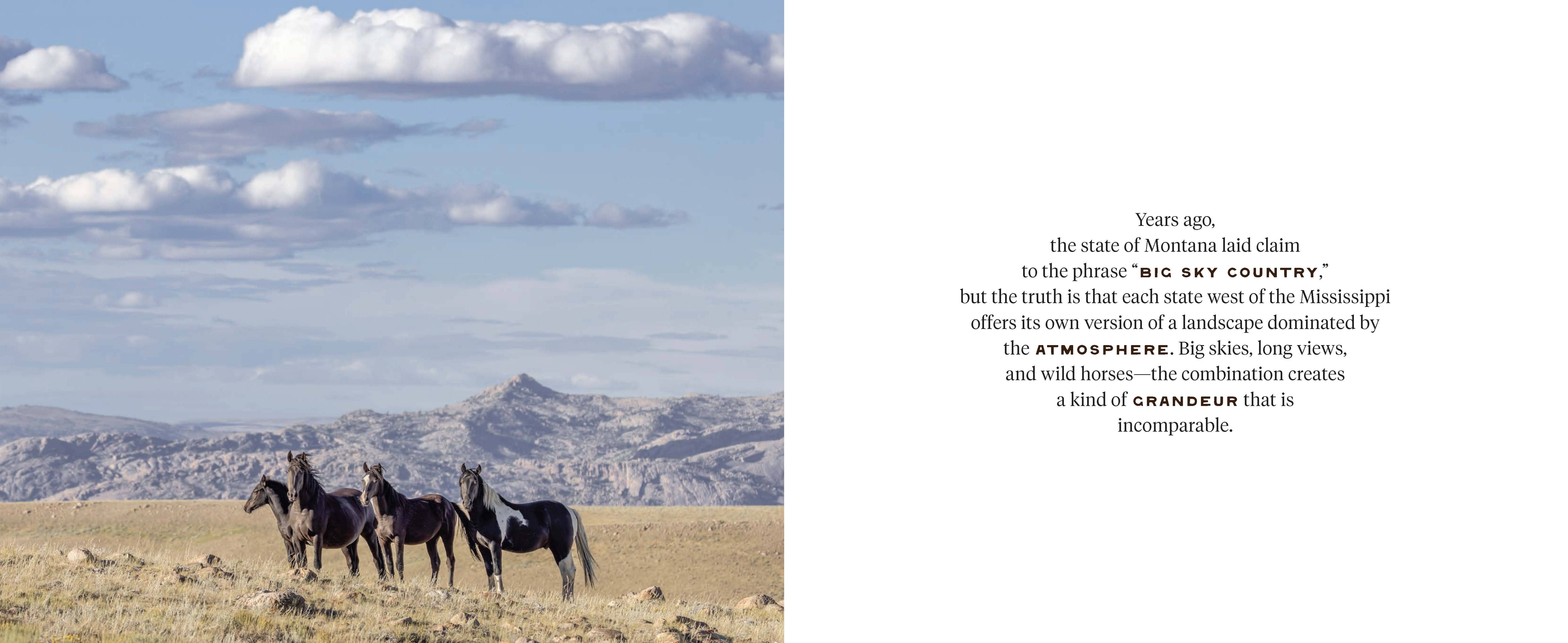 Chronicle Books - Wholesale Nature & Outdoors - Wild Horse Effect3