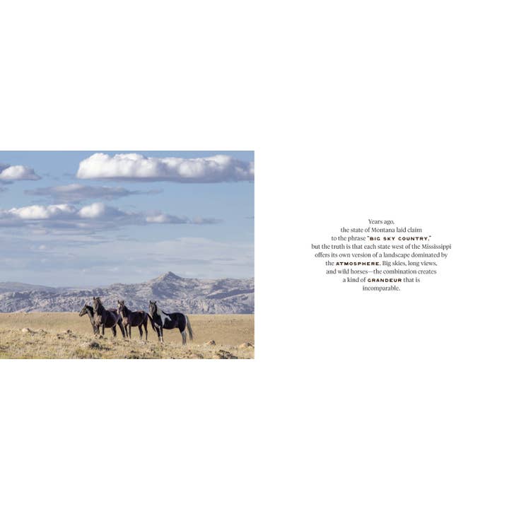 Chronicle Books - Wholesale Nature & Outdoors - Wild Horse Effect3