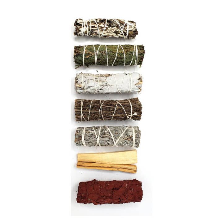 Sauge de Tournesol Sauvage – Grand Bouquet de Soleil + Clar pour la vente par Orglamix