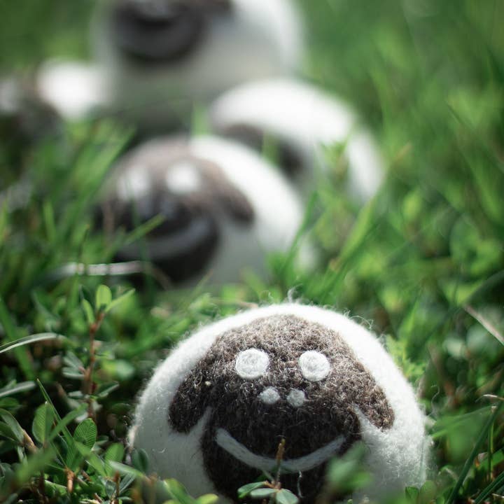 Friendsheep - Venta al por mayor Bolas de secadora - Bolas de lana ecológicas Sheep para secadora - Set de 34