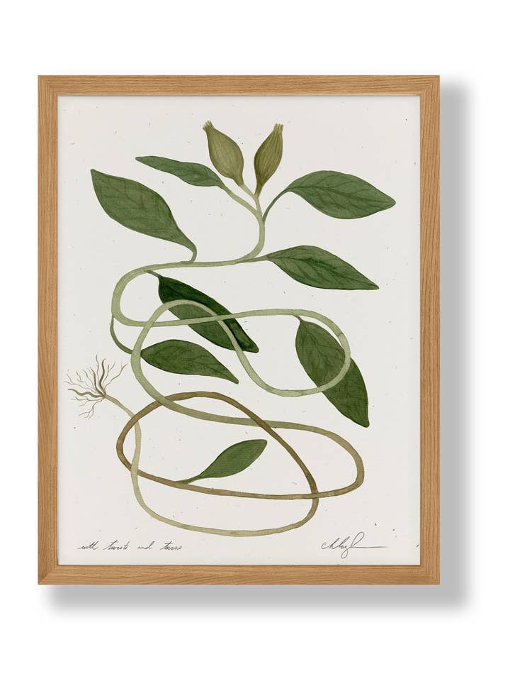 With Twists And Turns for wholesale by Cocoshalom