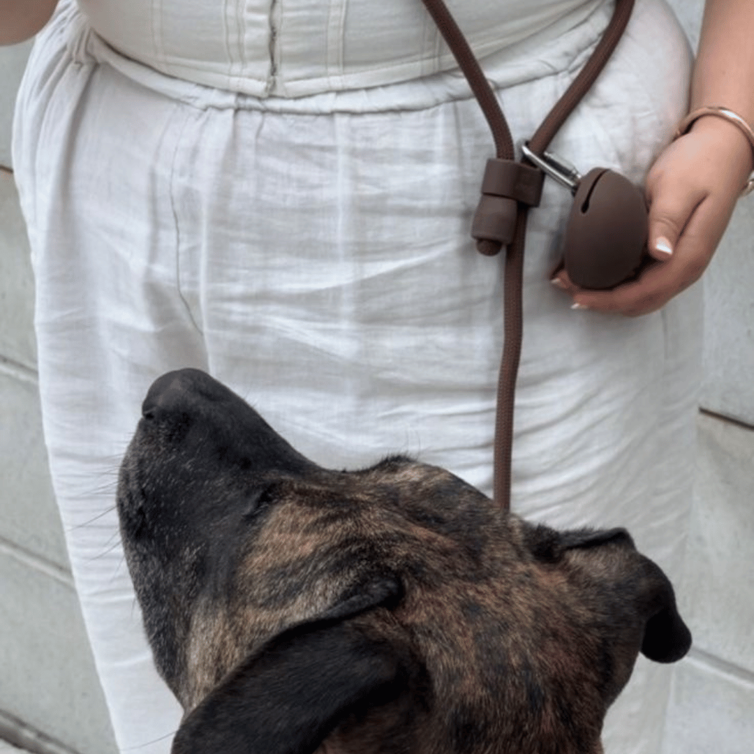 ST ARGO - Wholesale Pet Treat Pouch - Cat/Dog - TREAT POUCH - Cocoa2