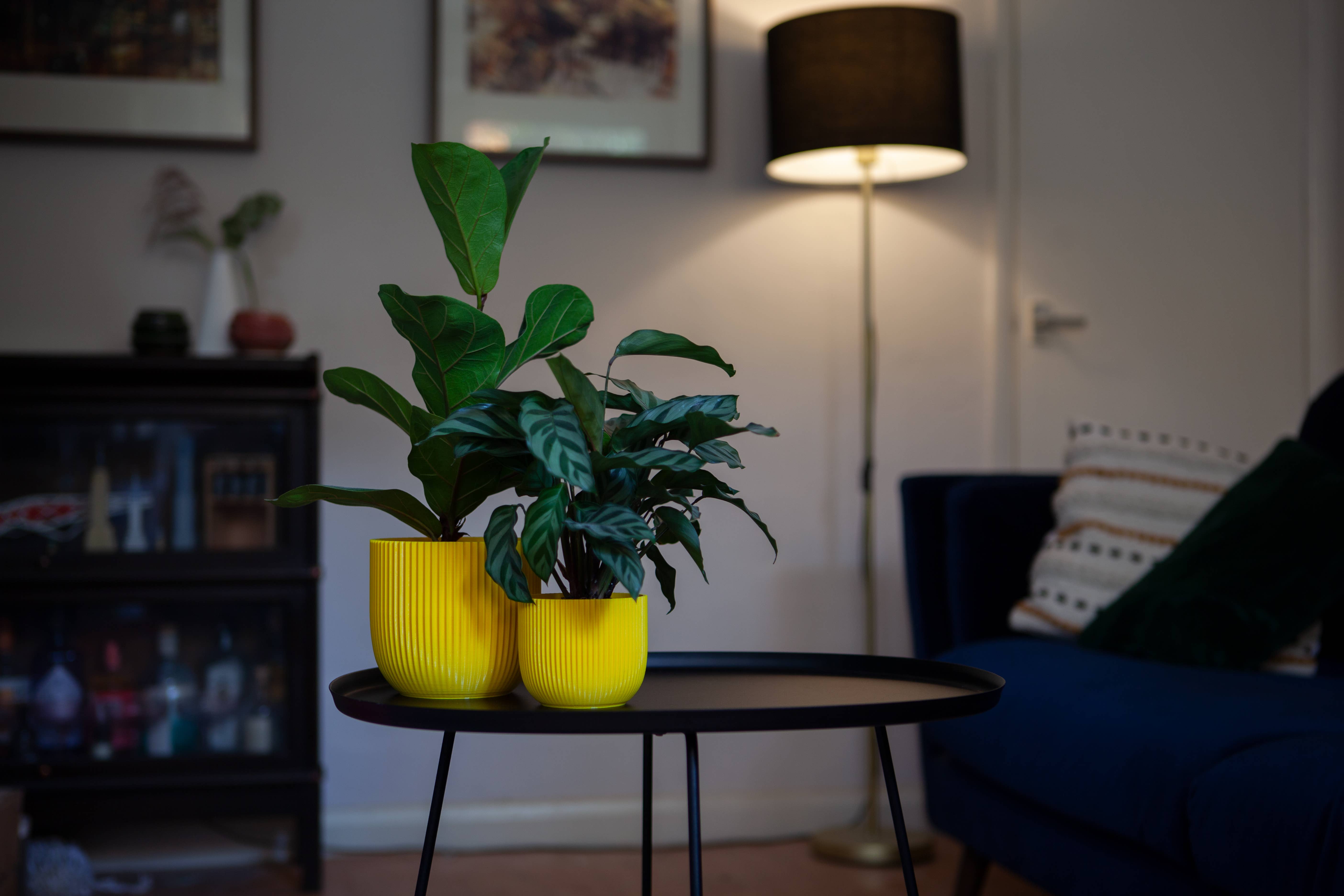 REMOVED BRAND - Vente Pot - Pot de plante côtelé « Crinkle » imprimé en 3D1