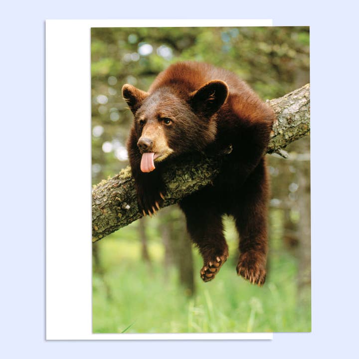 Accroche-toi ! Carte de vœux de rétablissement pour la vente par Northern Exposure