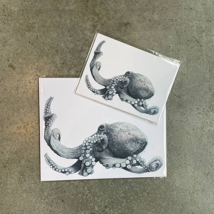 stück in the studio - Wholesale Art Print - octopus - print