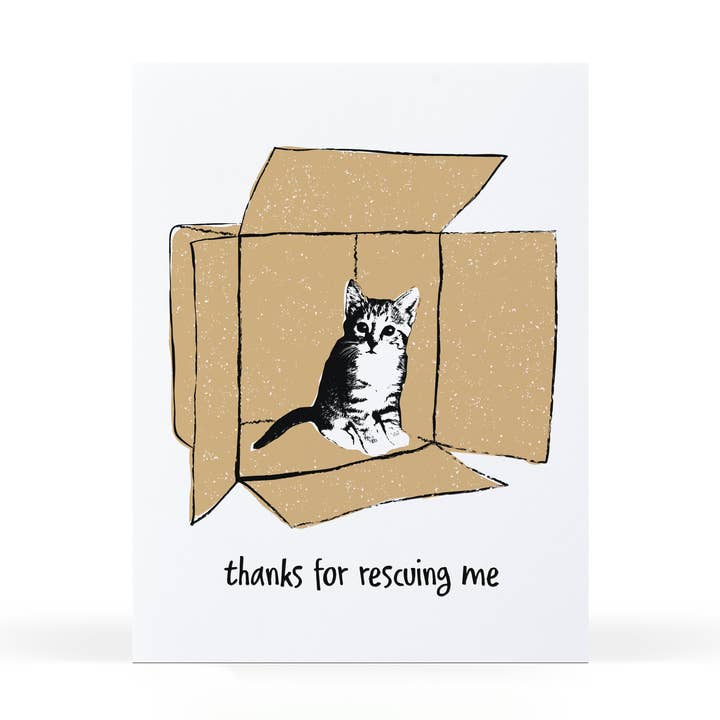 Biglietto di auguri Rescue Kitten per la vendita all'ingrosso da parte di Sweet Bippy Press