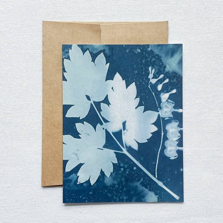 Carte vierge Slow Mornings n° 6 | Cyanotype botanique pour la vente par Atwater Designs