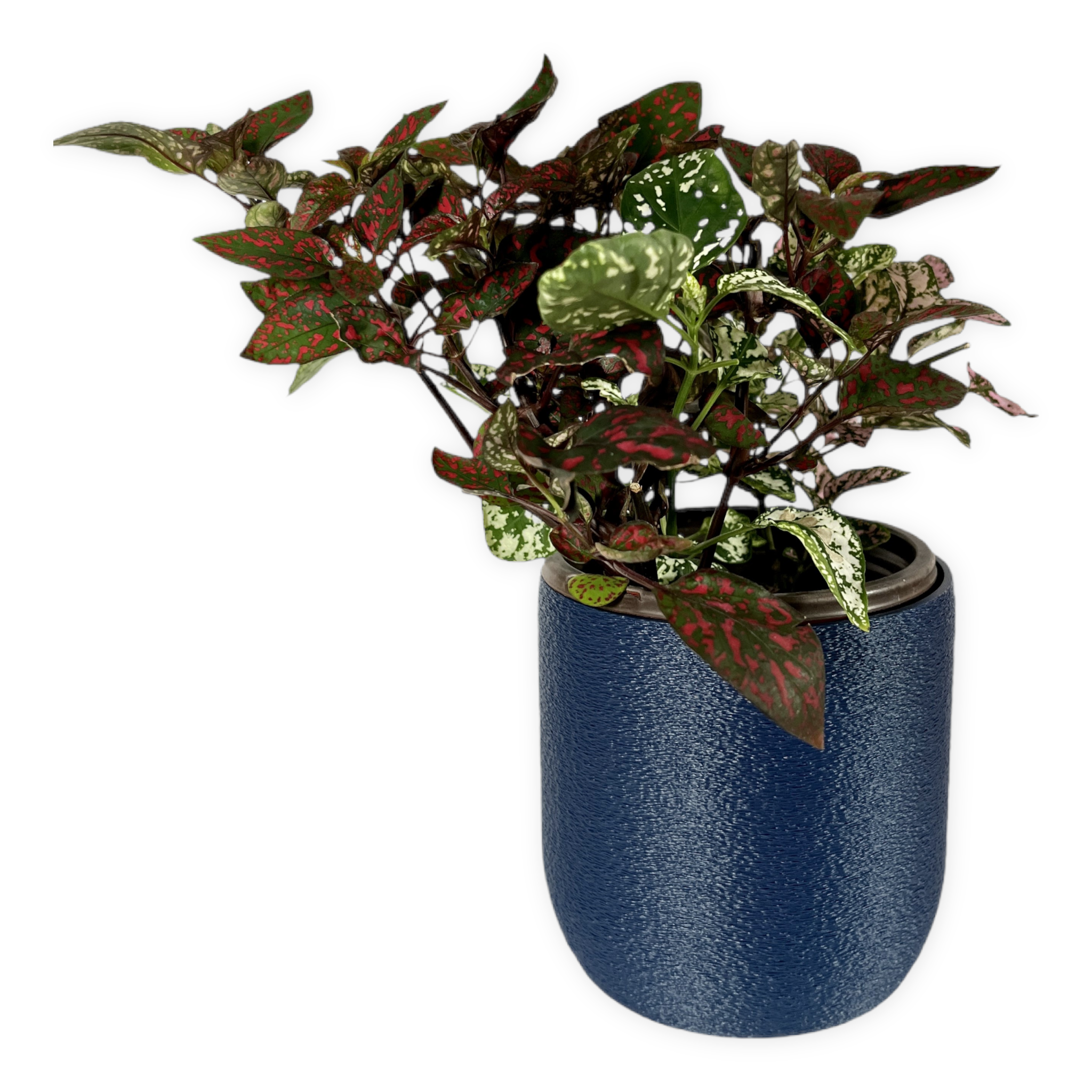 Leafprints.3d - Wholesale Plant Pot - The Moss – 4 Inch Cover Pot (No Drainage)1