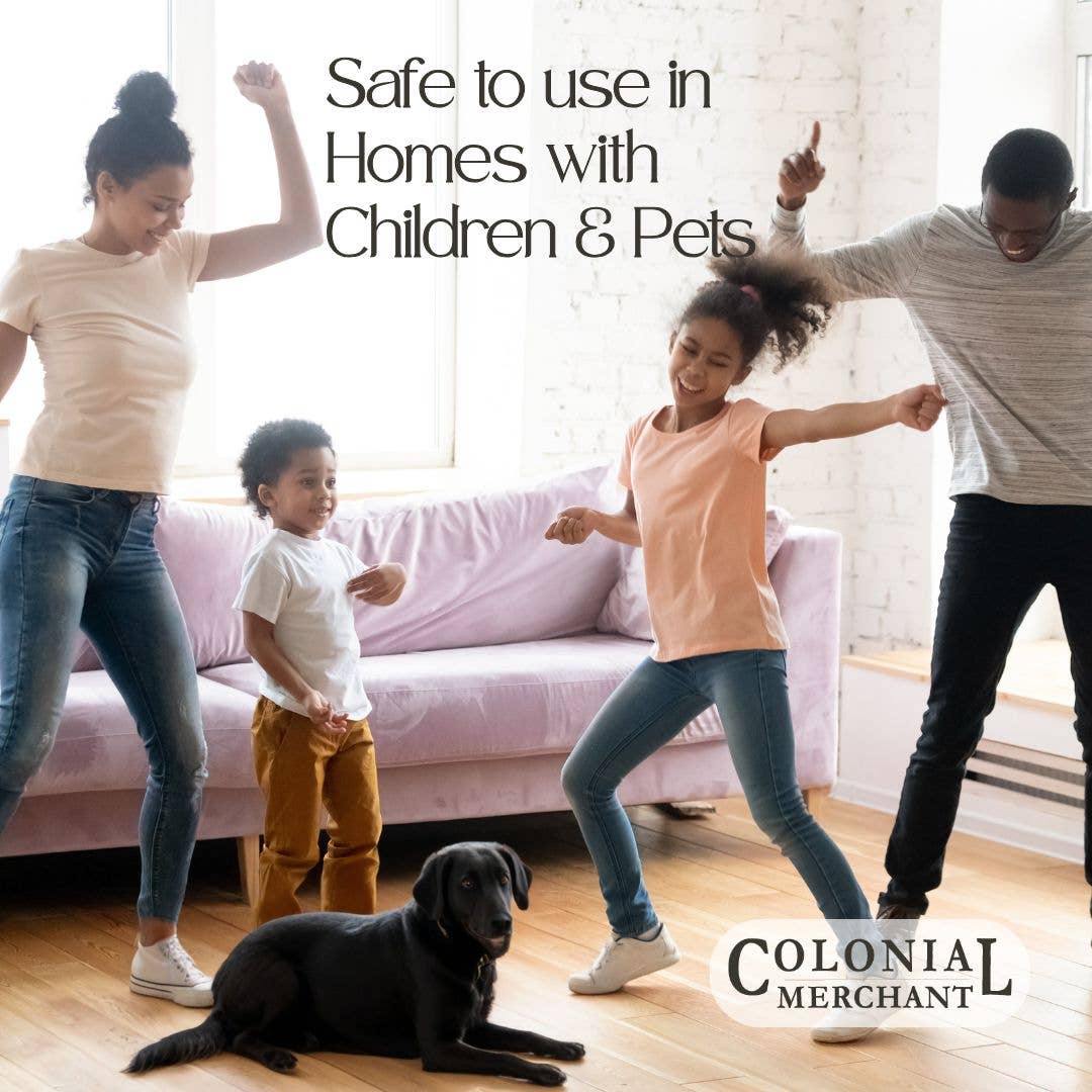 Colonial Merchant - Wholesale Laundry Detergent Powder/Pods - 2 lb. Christmas Tree Cake Linen Wash Powder - Almond Vanilla6