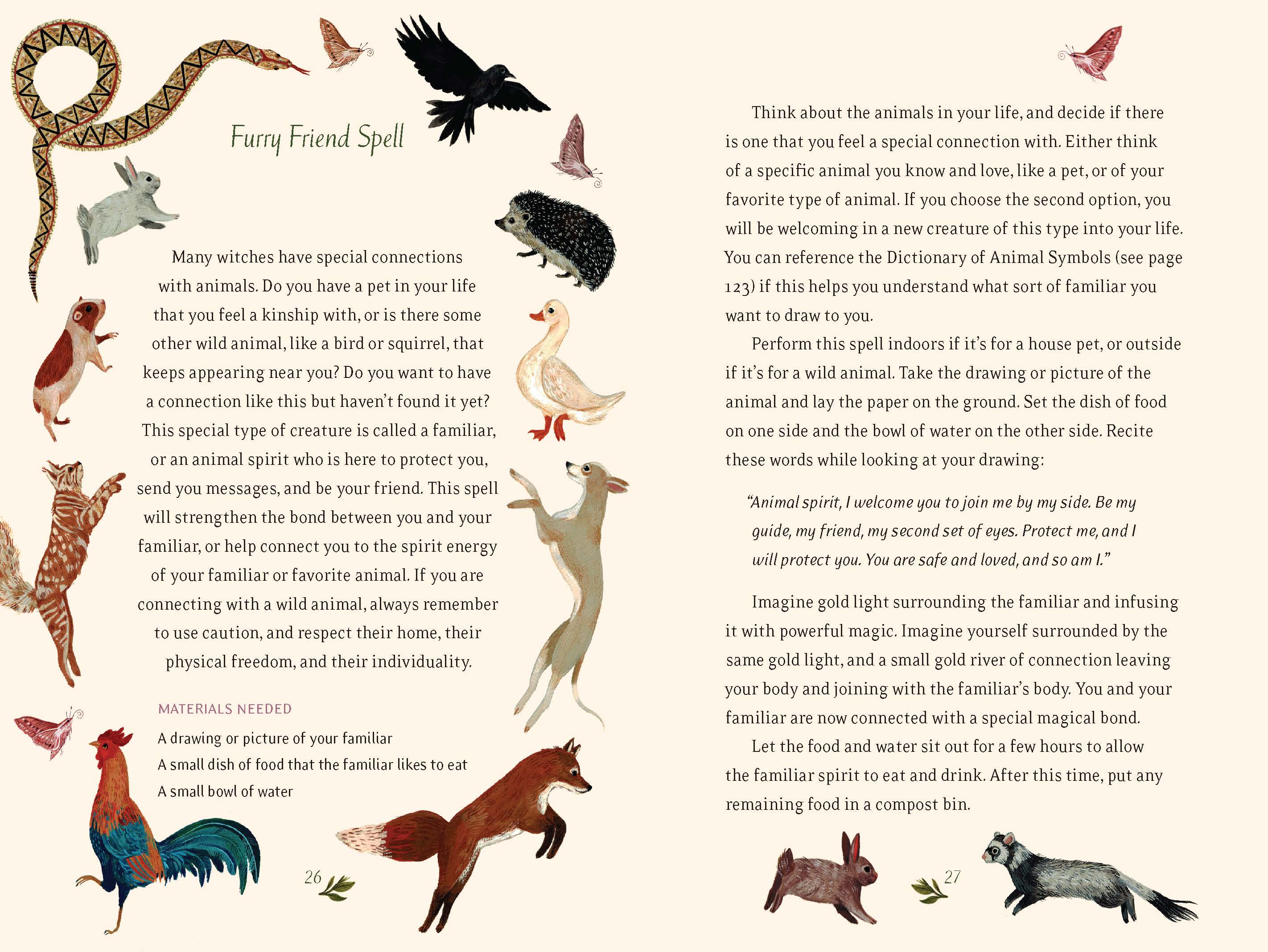 Chronicle Books - Wholesale Middle Grade Book (9-12) - The Little Witch's Book of Spells7