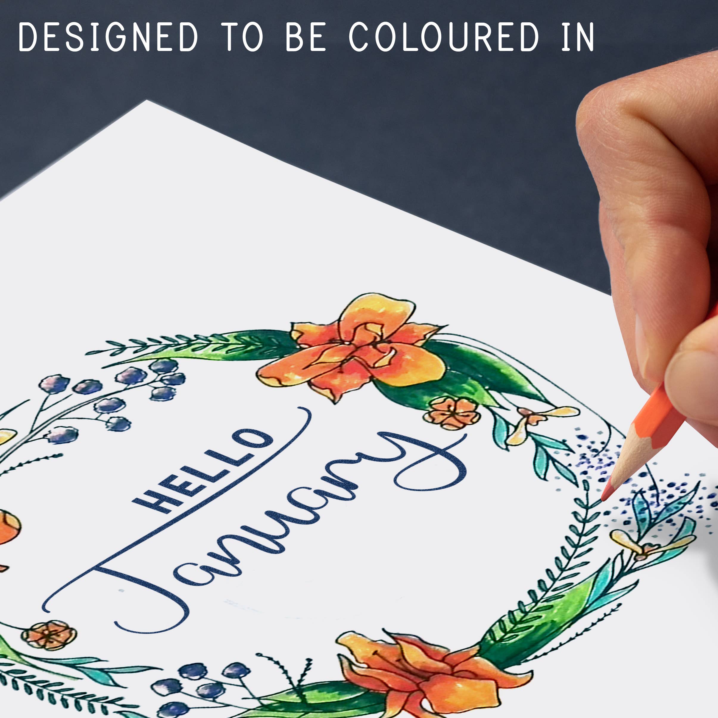 LILLA Journals – wholesale Journal/diary – Inspiring Monthly Bullet Journal | Undated illustrated diary1