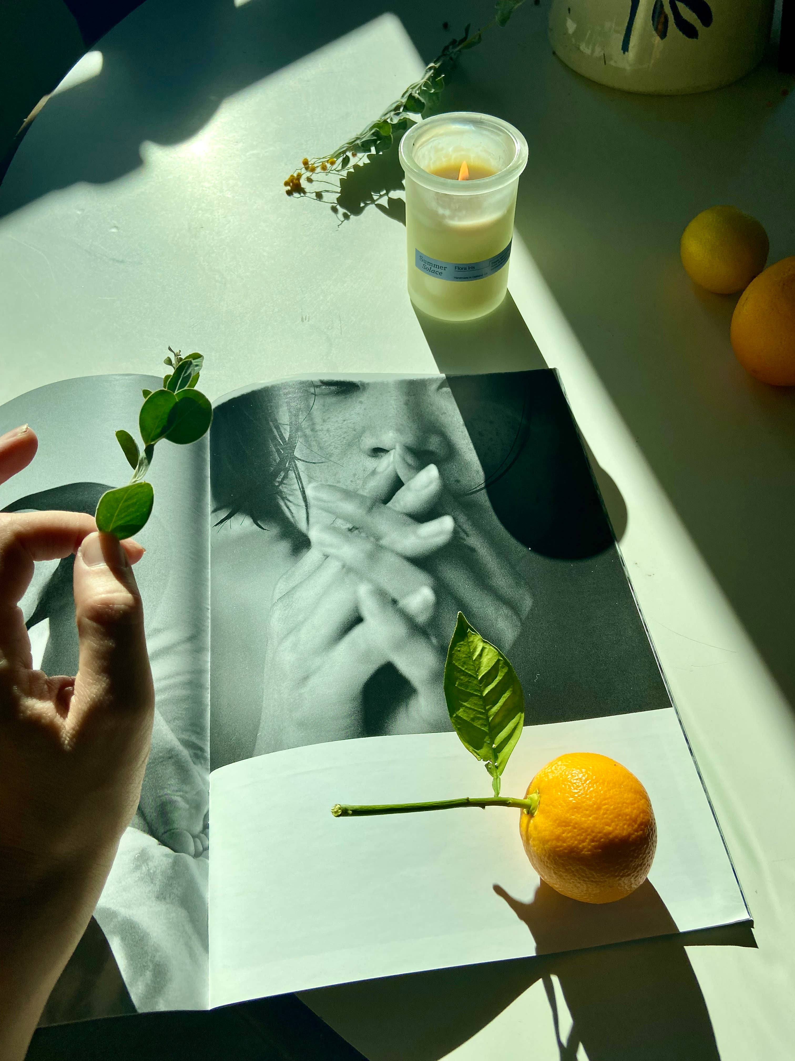 SUMMER SOLACE- Regenerative Tallow Beauty - Wholesale Jar/Filled Candle - Flora Iris – Orris & Palo Santo Candle, 6 oz8