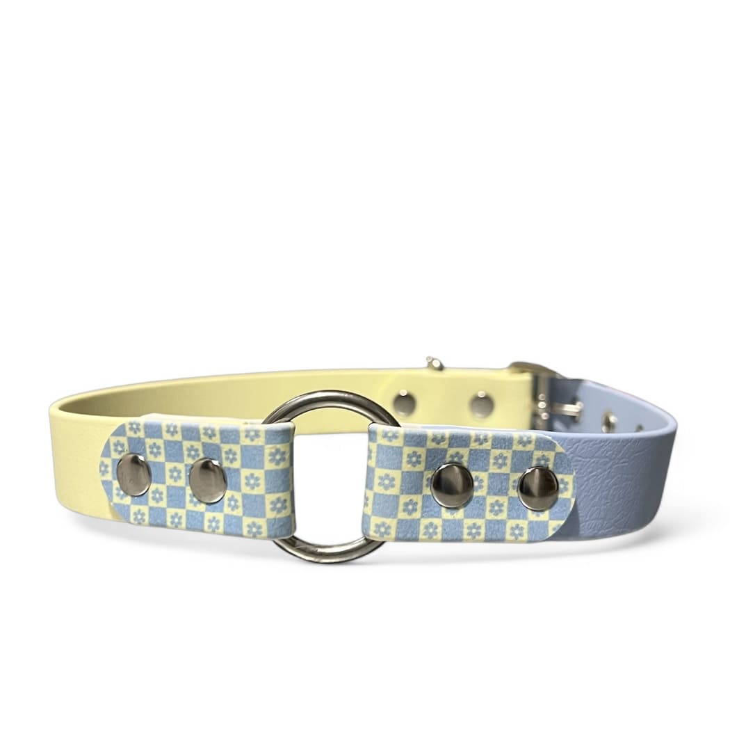 Splash By Happy - Wholesale Pet Collar - Dog - 🌼 Happy Flower 🌼4