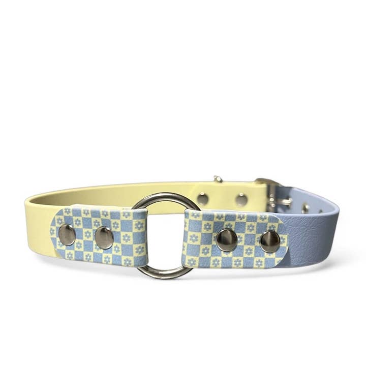Splash By Happy - Wholesale Pet Collar - Dog - 🌼 Happy Flower 🌼4
