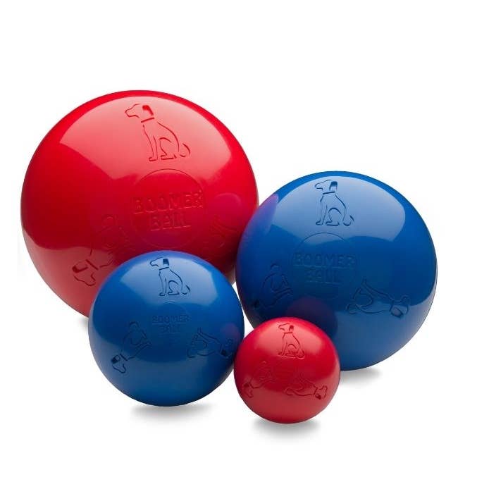 Boomer Ball for wholesale by Company of Animals