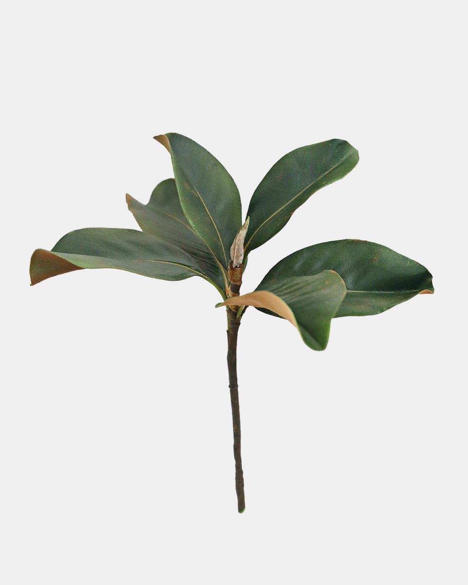 Prestige Botanicals - Wholesale Artificial plant - Faux Magnolia Leaves 14"