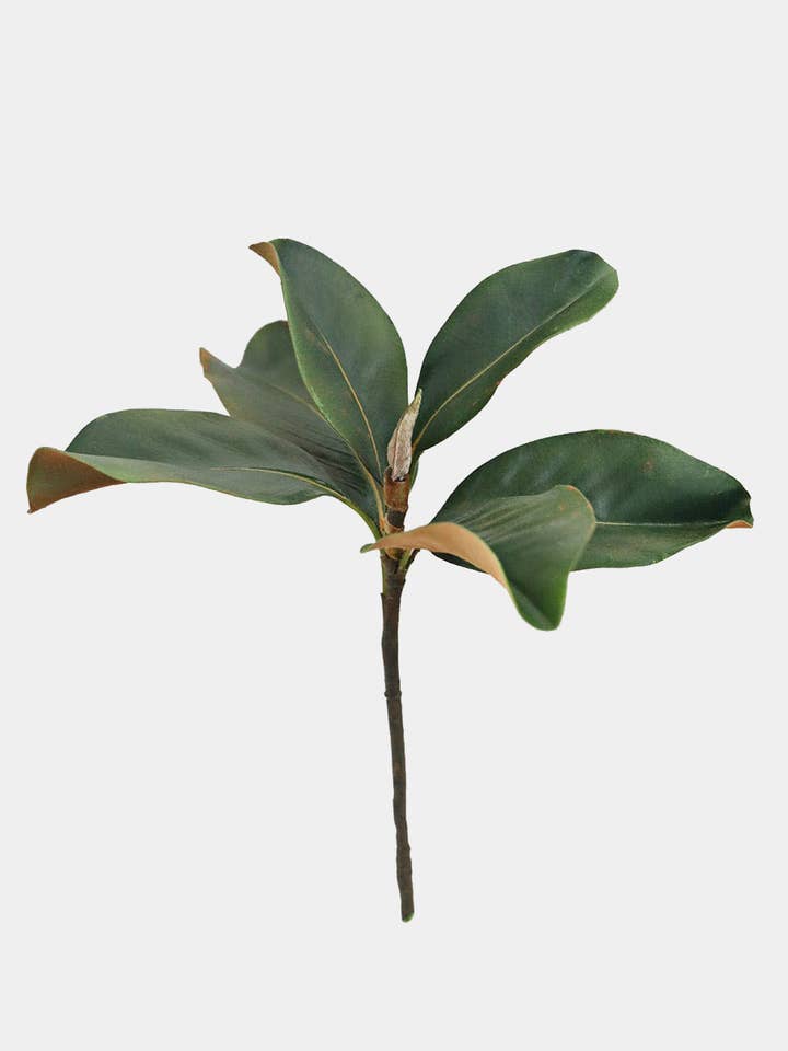 Faux Magnolia Leaves 14" for wholesale by Prestige Botanicals