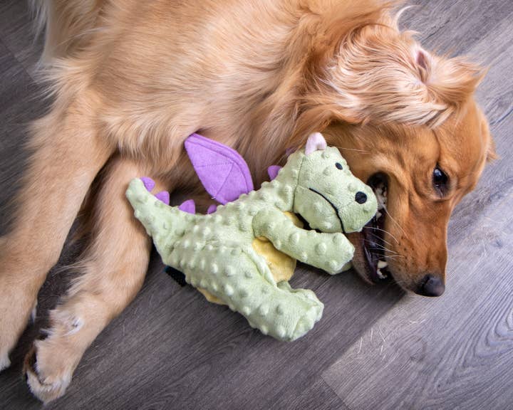 Pet Palette Distribution - Wholesale Pet Plush Toy - Dog - goDog Dragons Squeaky Plush Dog Toy Large