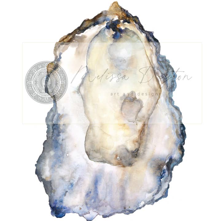 Melissa Dayton Art and Design - Wholesale Gallery Wall Set - Oyster Fine Art Prints- set 6-framed 11 x 143