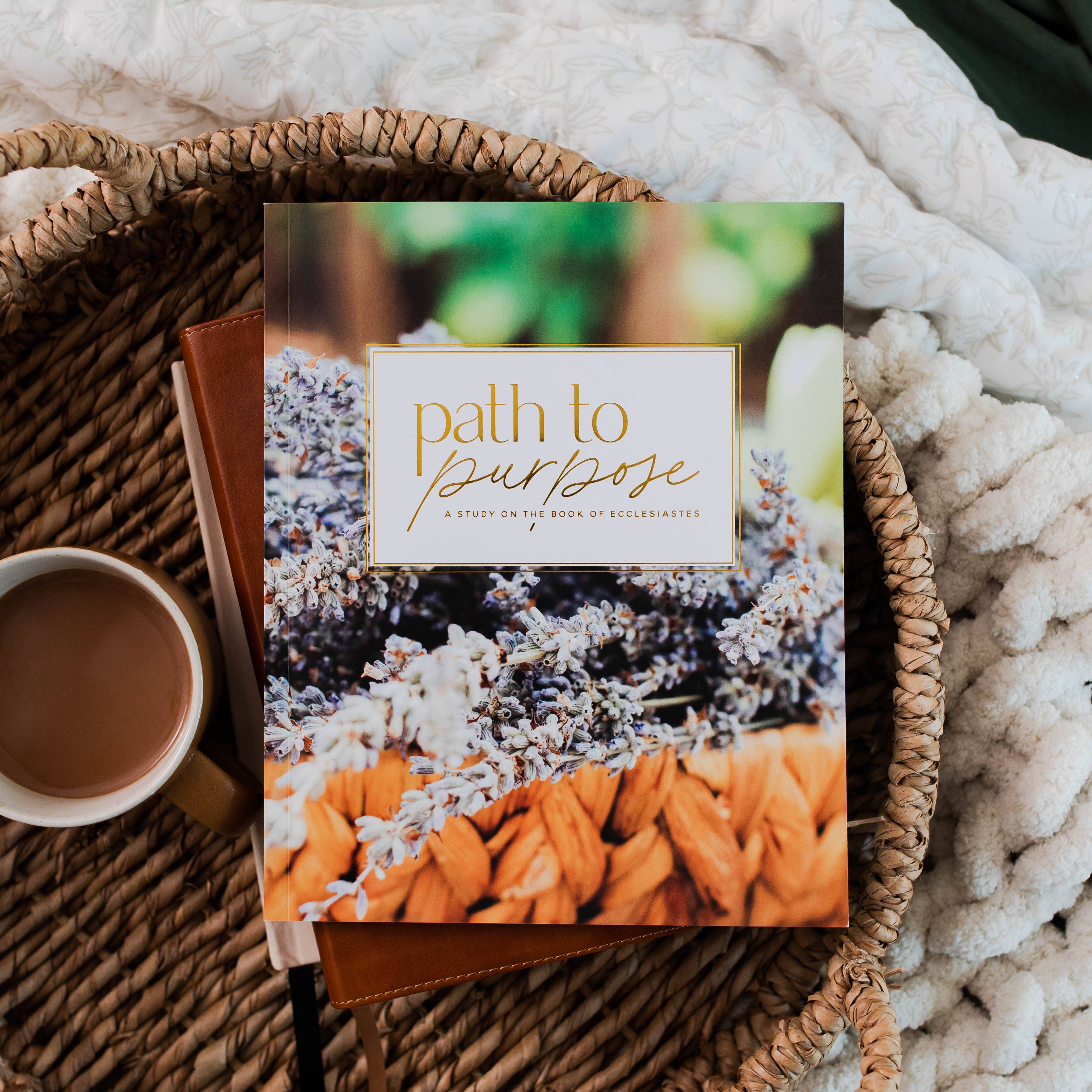 The Daily Grace Co - Vente Religion - Path to Purpose | Une étude sur le livre de l'Ecclésiaste0