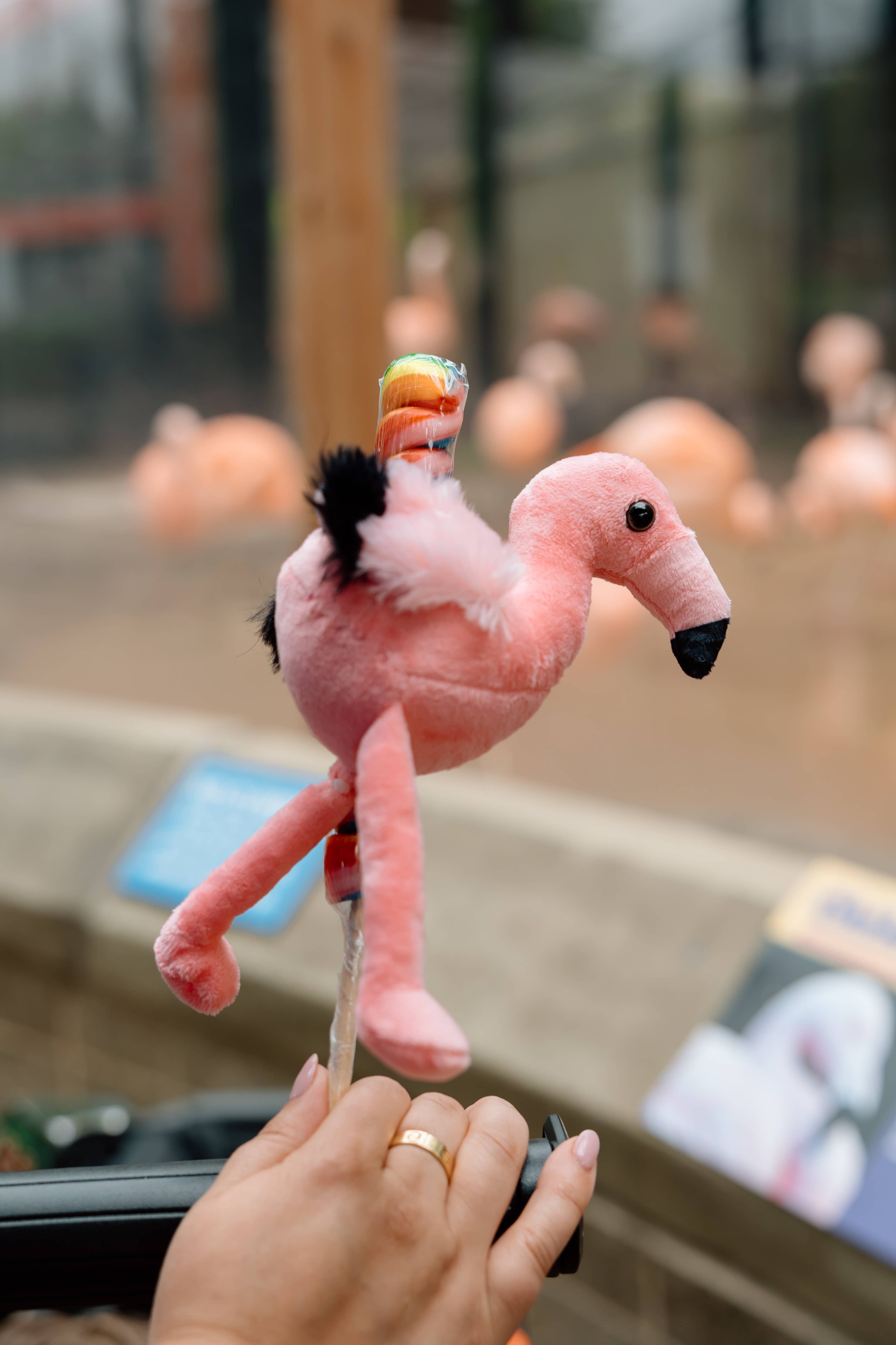 The Petting Zoo - Wholesale Retailer Display - Kids & Baby - Display Wooden Lollyplush Vertical Stand holds 1204