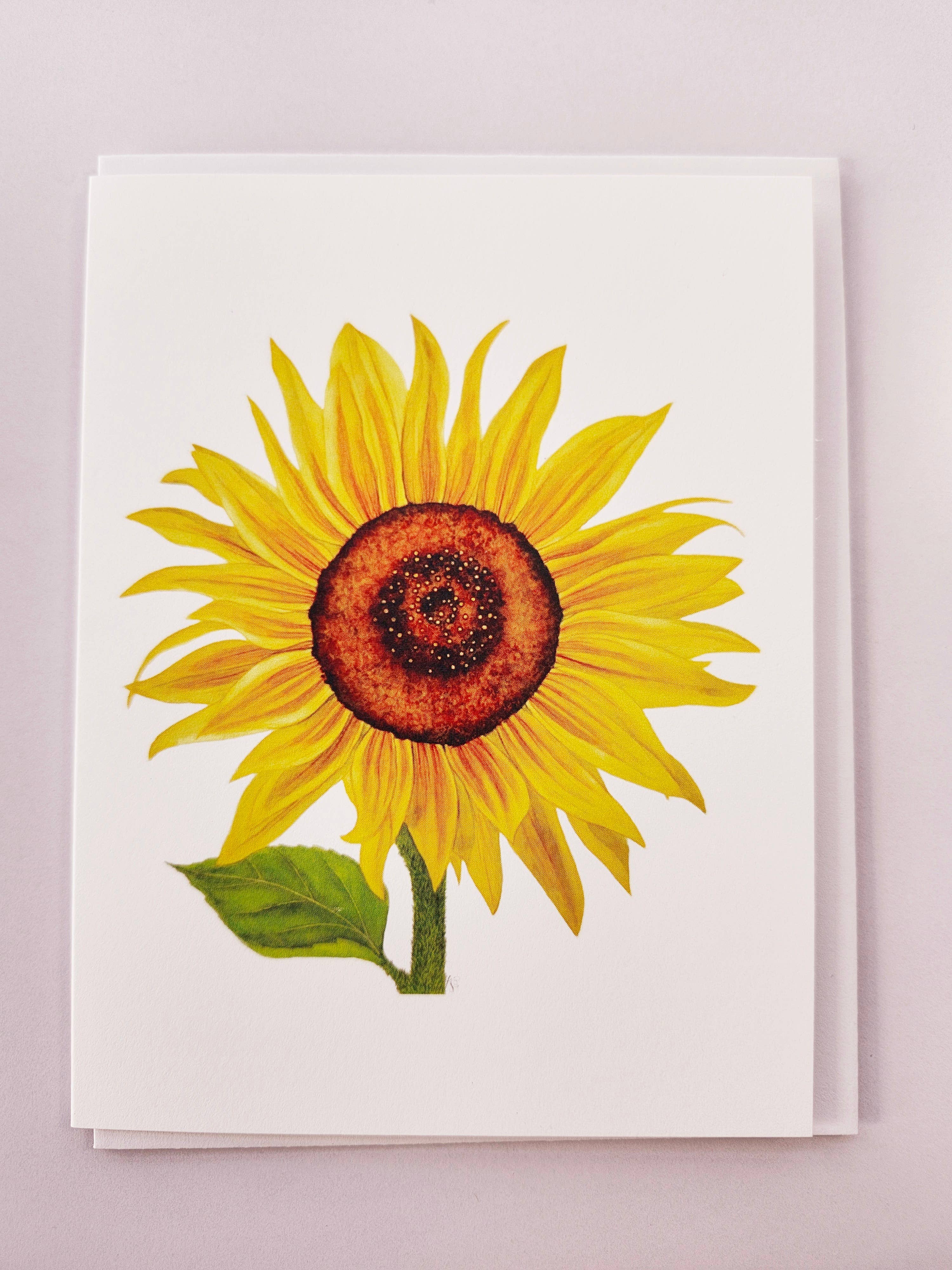 Redbriar Studio - Wholesale Stationery/Notecard Set - Notecards15