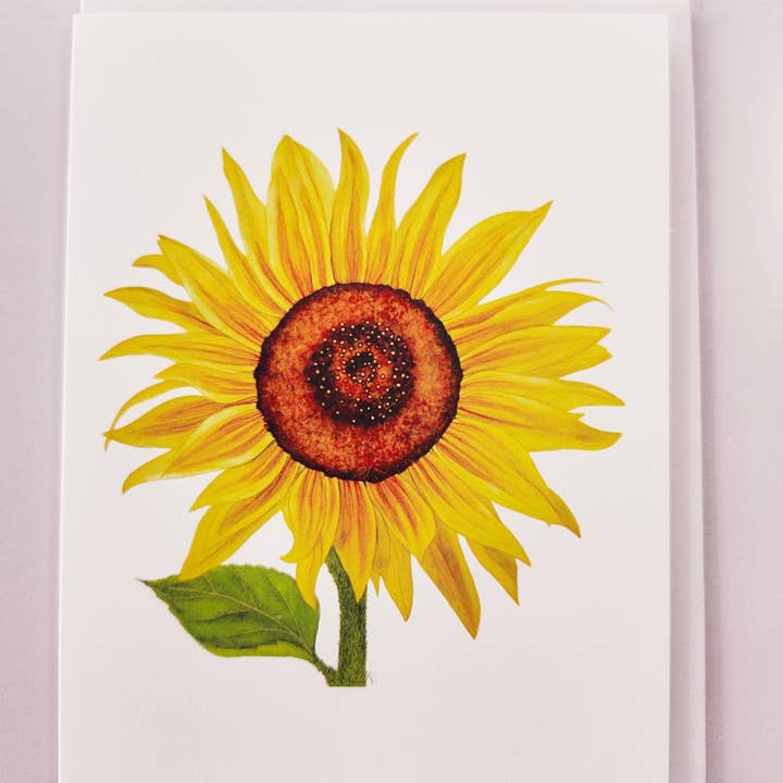 Redbriar Studio - Wholesale Stationery/Notecard Set - Notecards15