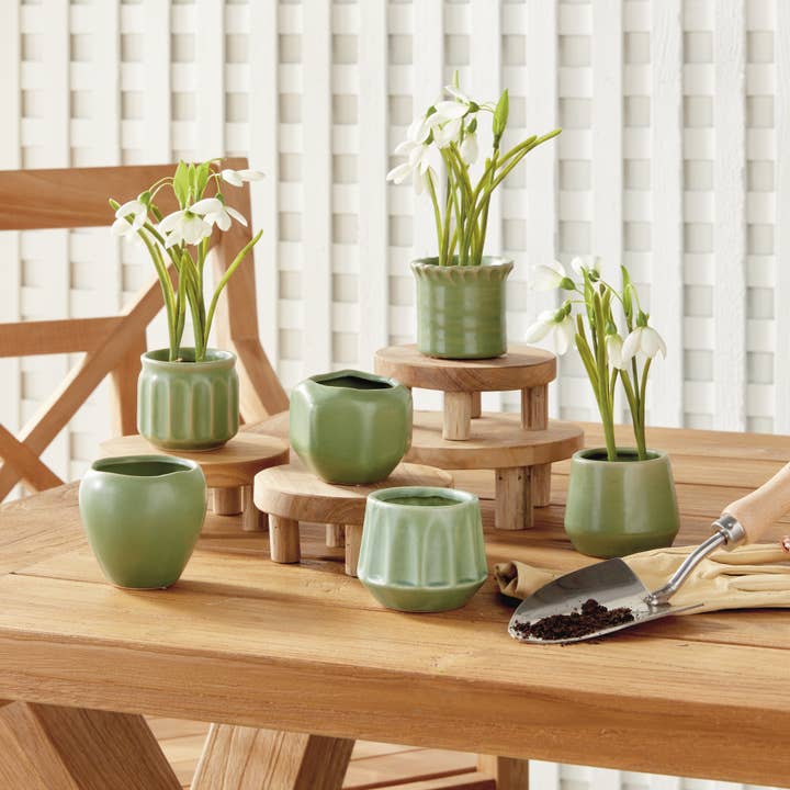 Napa Home & Garden - Wholesale Plant Pot - Dezie Mini Pots, Green1
