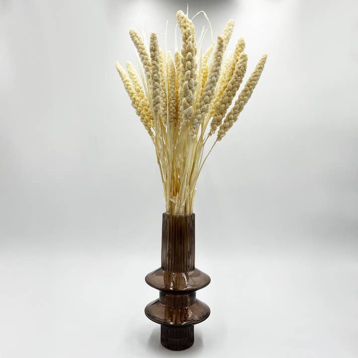 2626 Designs - Venta al por mayor Flores secas/prensadas - Flor de mijo preservada y seca de 21" múltiples colores