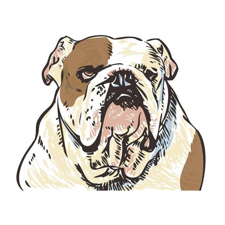 RAN-30 Bulldog, White Art Print for wholesale by Rigel Paper