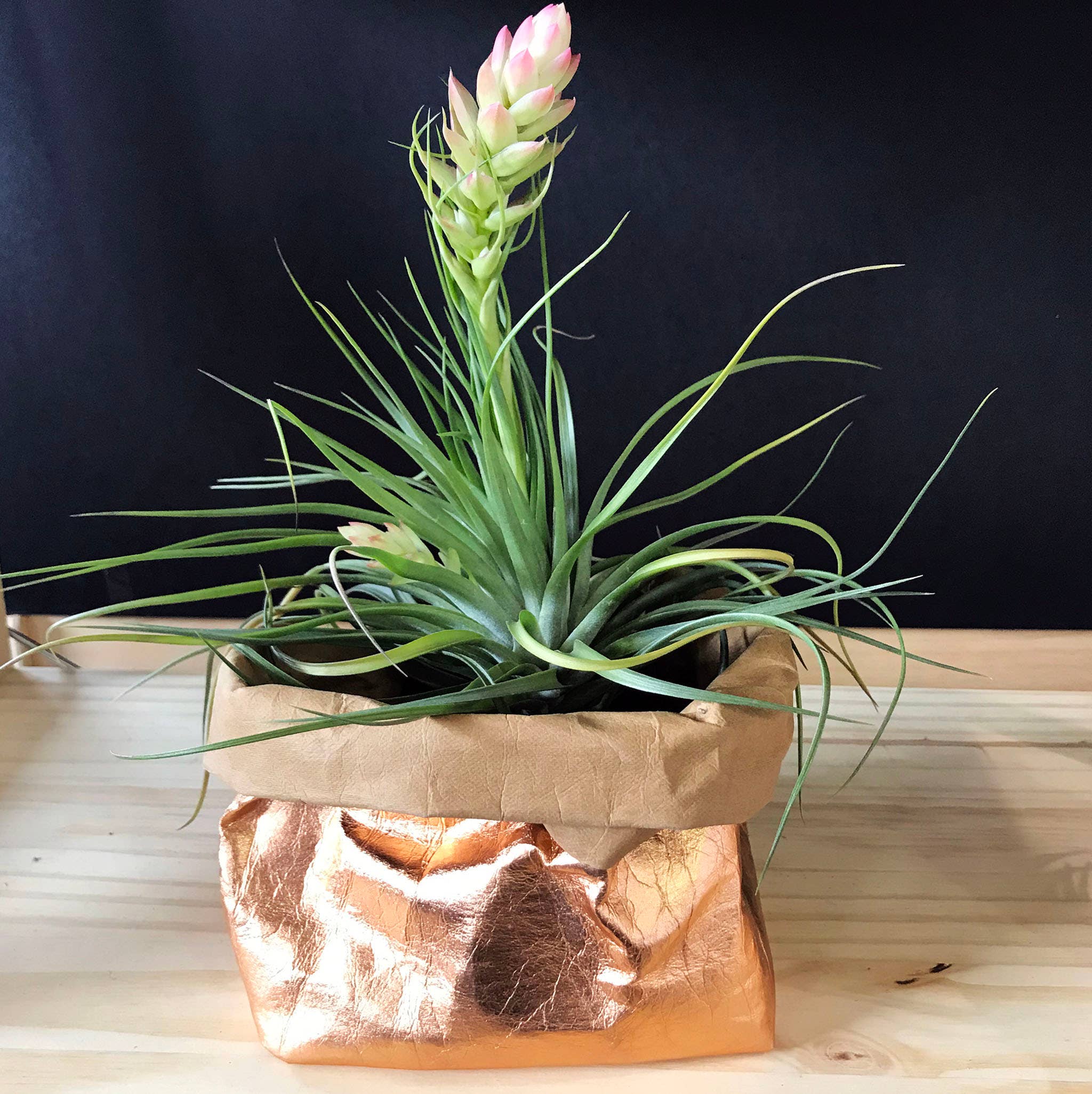 Urbana Sacs - Wholesale Food Storage Wrap/Bag - Creative Sacs Small5