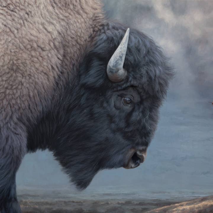 The Big and the Small - Bison and Hummingbird - Art Print for wholesale by James Corwin Fine Art