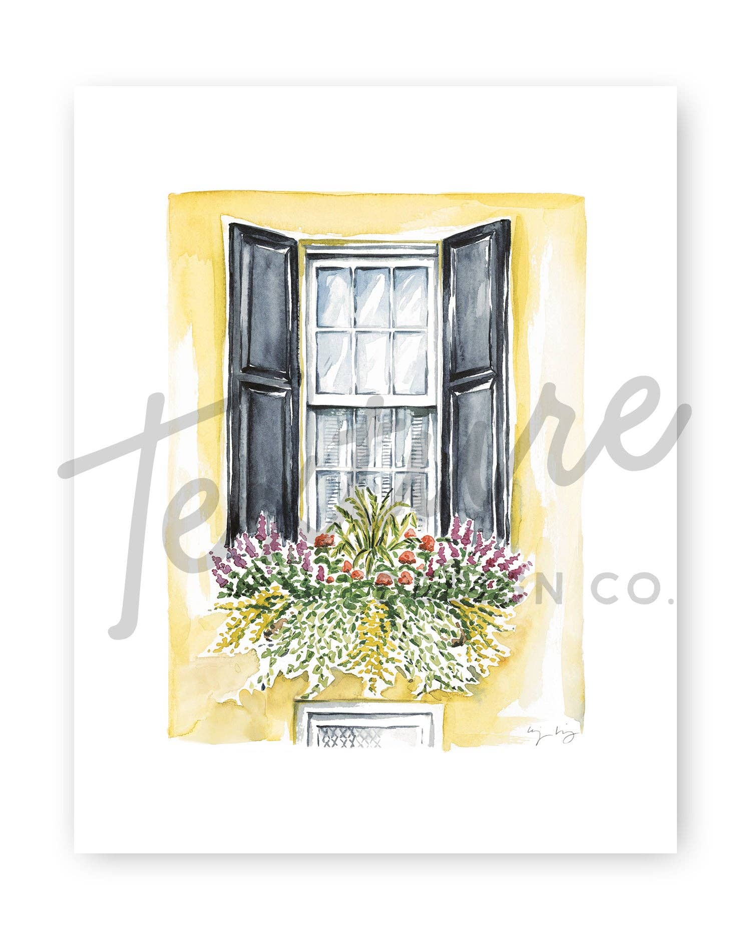 Texture Design Co - Wholesale Art Print - Flower Box Print of Tall Yellow Window1