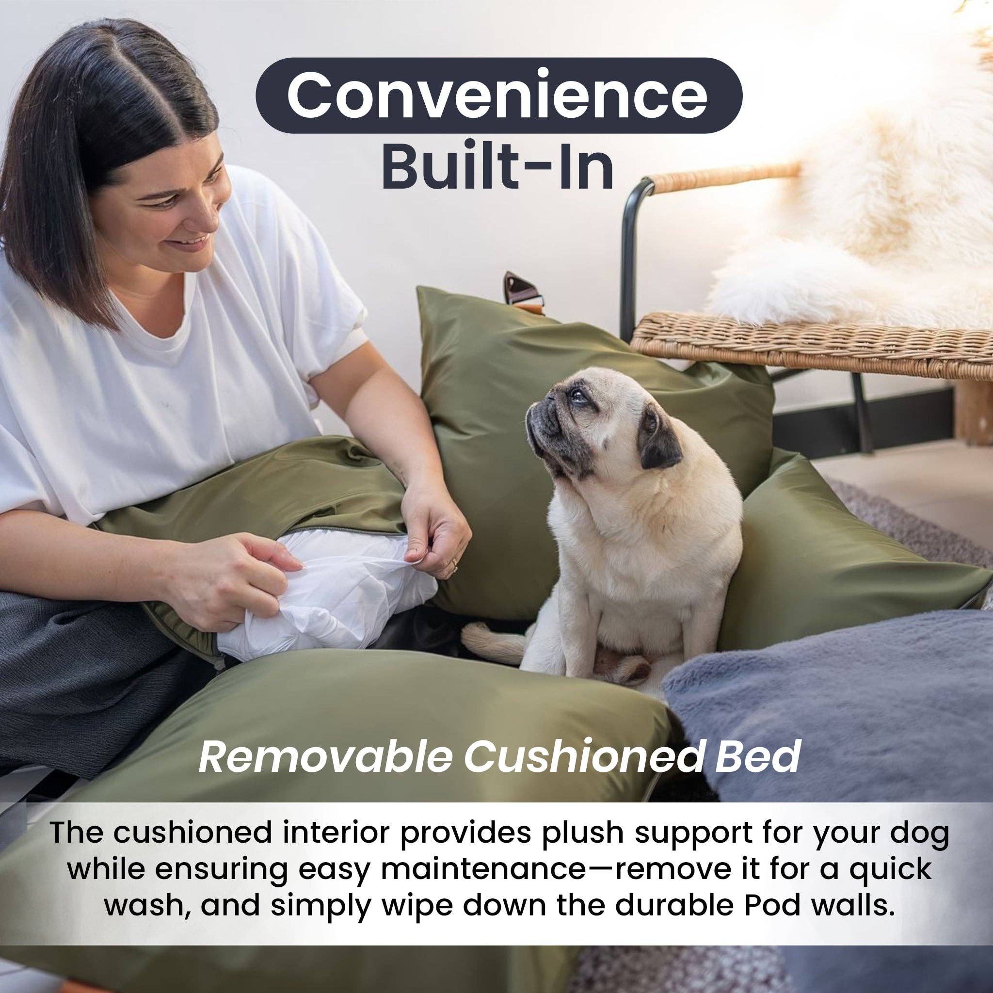 Luther Bennett – Großhandel Haustier-Transportbox – Hund – Travel Dog Pod 2.0 – jetzt mit IsoFix14