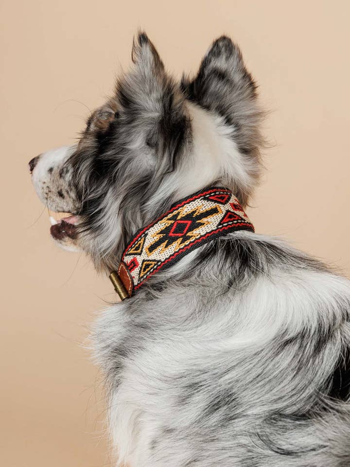 Dog Collar Peyote Red for wholesale by Buddys dogwear