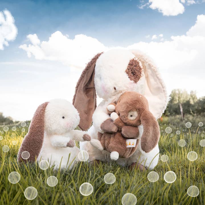 Bunnies By the Bay - Wholesale Stuffed/Plush Toy - Kids & Baby - Baby Harriet Hare Bunny4