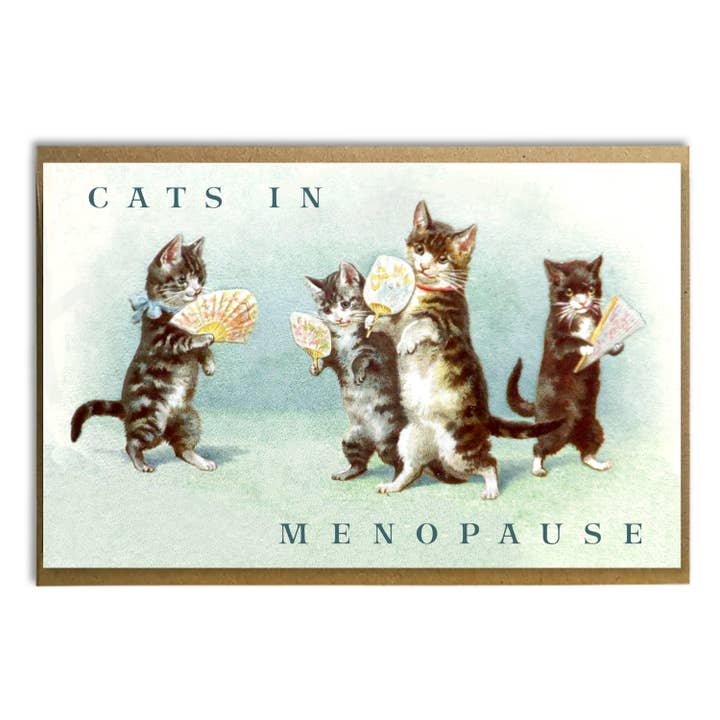 A Zillion Dollars - Wholesale Everyday Greeting Card - Funny Card for Her; Cats in Menopause; Midlife Humor; Cats