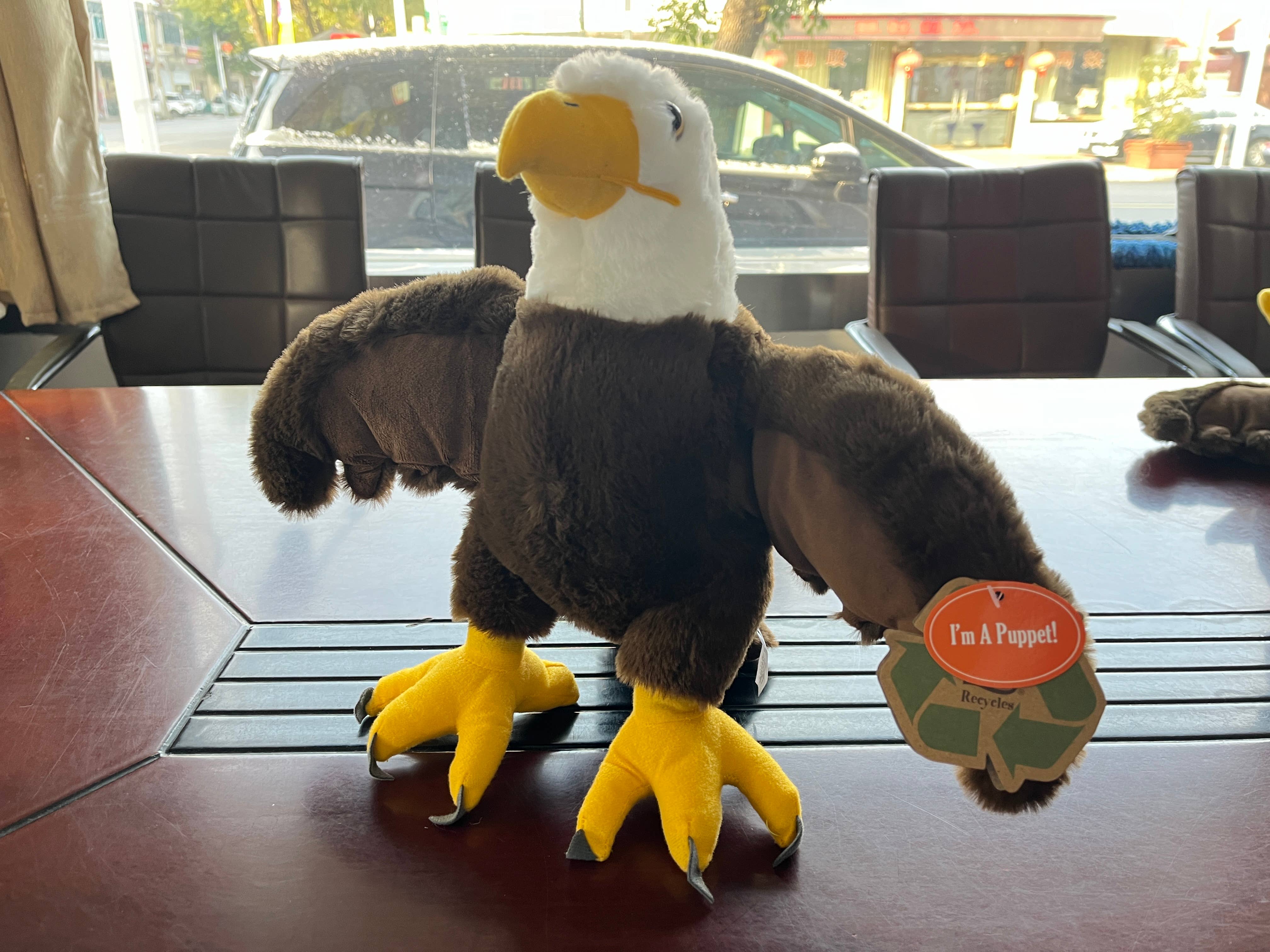 The Petting Zoo – wholesale Docka - Barn och baby – 11" (28cm) Interaktiv Bald Eagle Marionett3