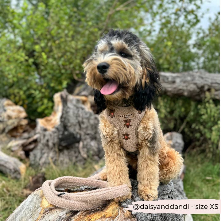 Cocopup London - Wholesale Pet Harness - Dog - Theo Embroidered Teddy Adjustable Neck Harness22