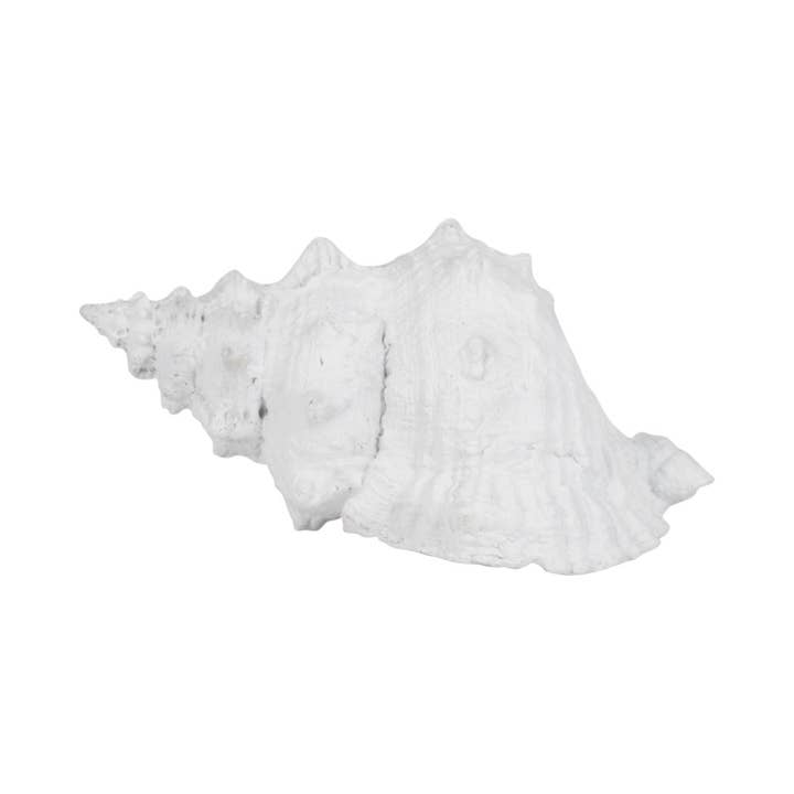 Sagebrook Home - Wholesale Decorative Figurine - Figurine - White Resin Coastal Solid Conch Shell, 10 in.7