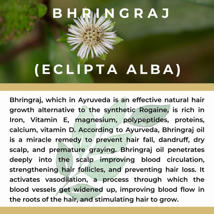 The Sacred Essence - Wholesale Hair serum - MANA Ayurveda Hair Restoration Serum - Hair Superpower21